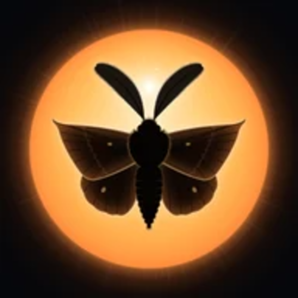 MOTH