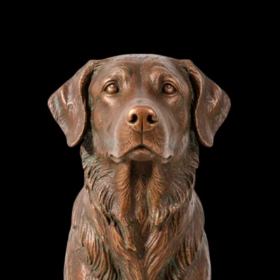 COPPERDOG