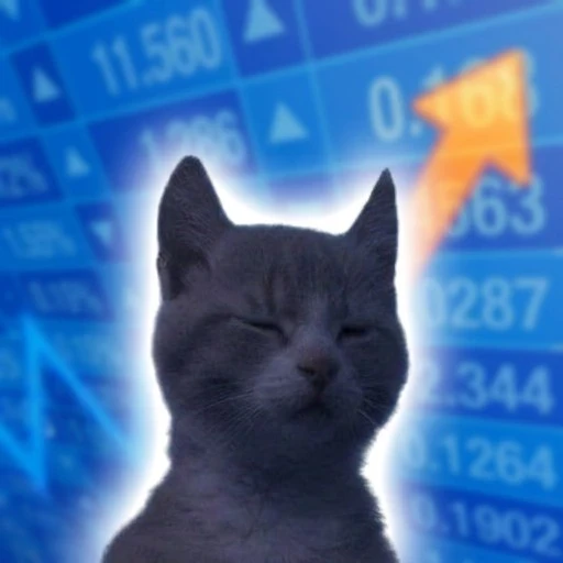 pCAT