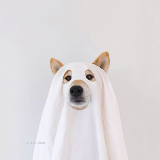 GHOSTINU