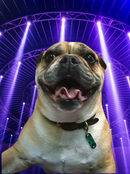$updog