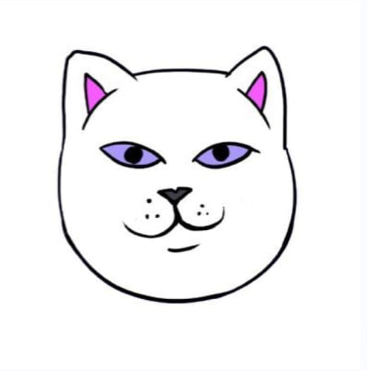 catnip