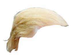 Trump Hair