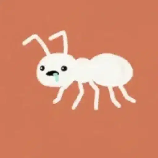 Ants