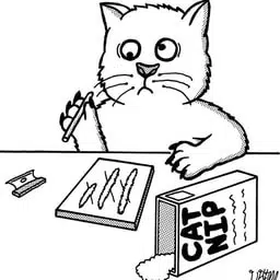 catnip