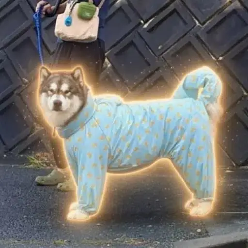 アル
