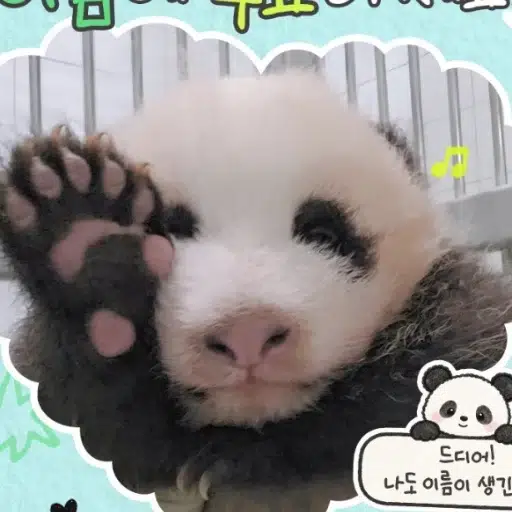 유바오