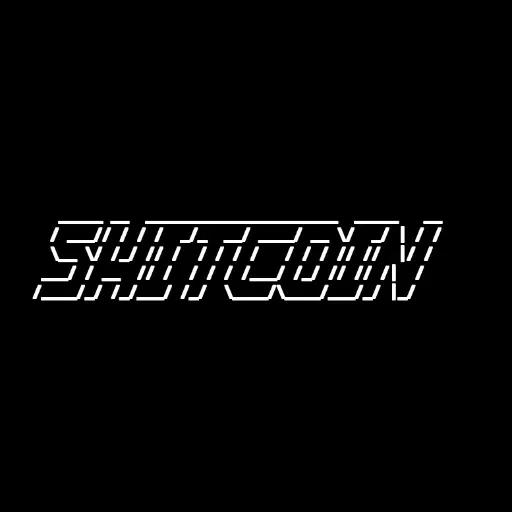 SHITCOIN