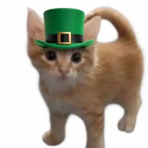 padcat