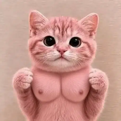 bcat