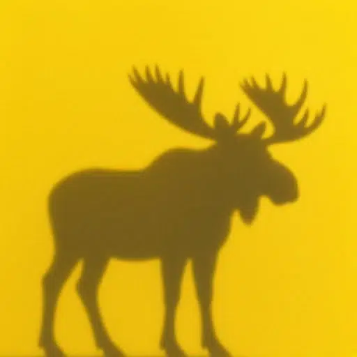 anonymoose