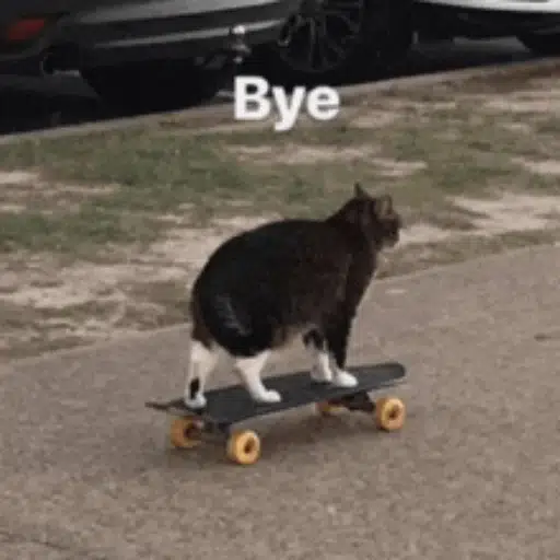 bye