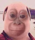 BUDI