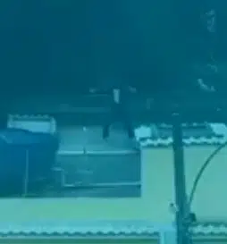 Niggabender