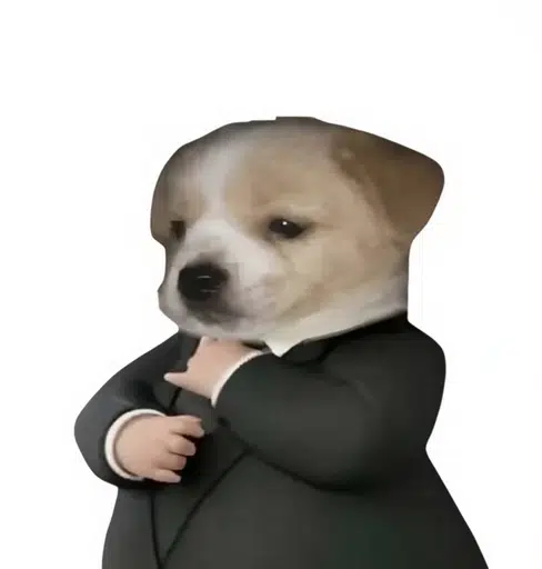 suit
