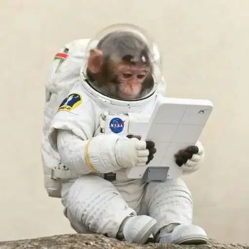 starlink