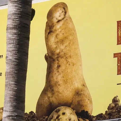 DICKTATER