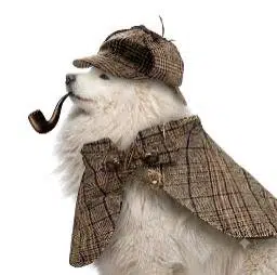 PIPEDOG