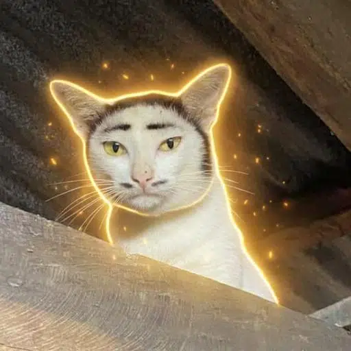 Pao
