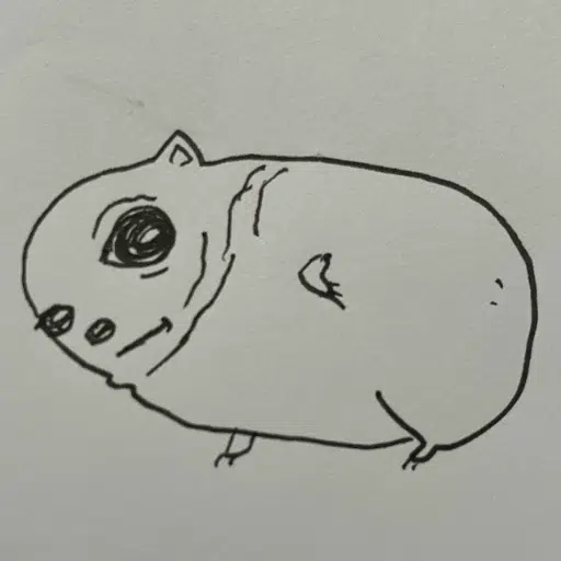potato