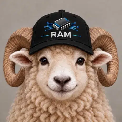 Sheep