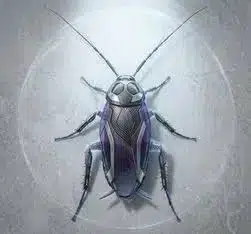 Cockroach