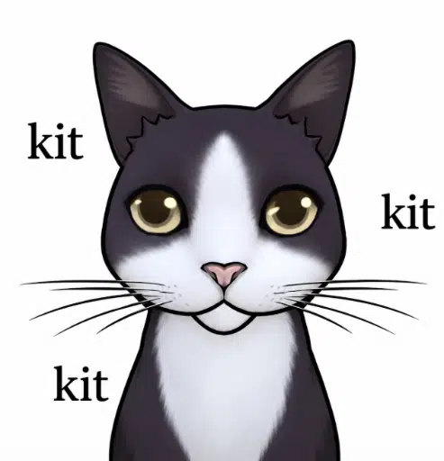 kit