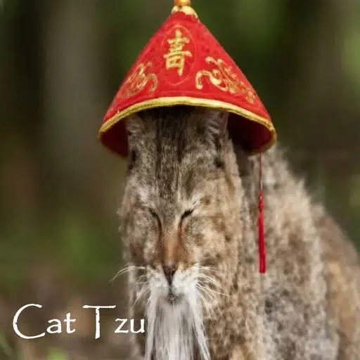 CatTzu