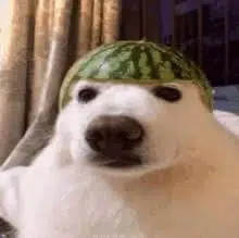 Charles