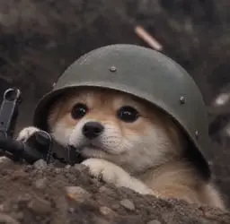trenchdog
