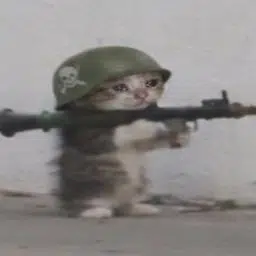 bazucat