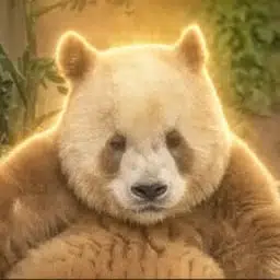 七仔