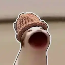 POPCAT