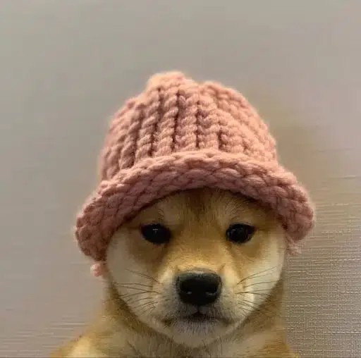 achi