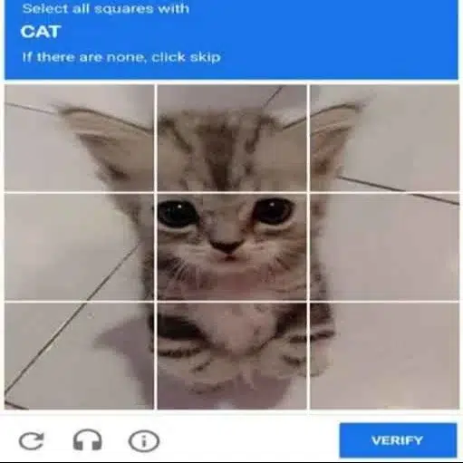 CATCHA
