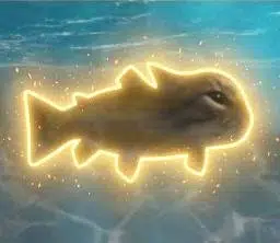 CATFISH