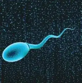 Quantcum