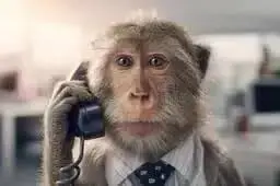 CALL