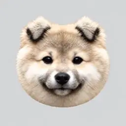 Koinu