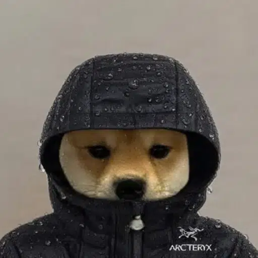 arc'teryx
