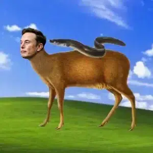 Eelonmusk
