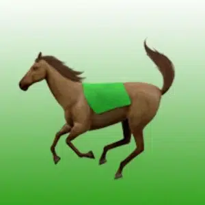 Onwards