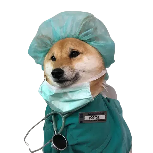 DOGTOR