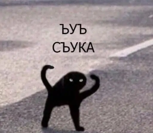 сука