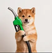 PUMP