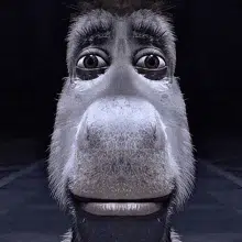 STARE