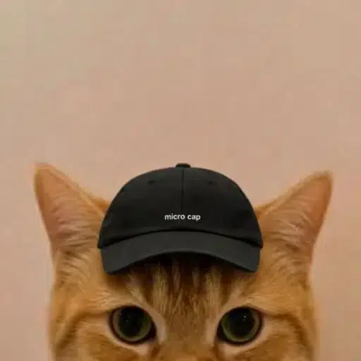 MICROCAP