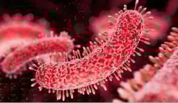STD
