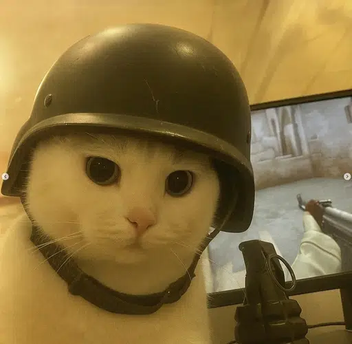 BCAT