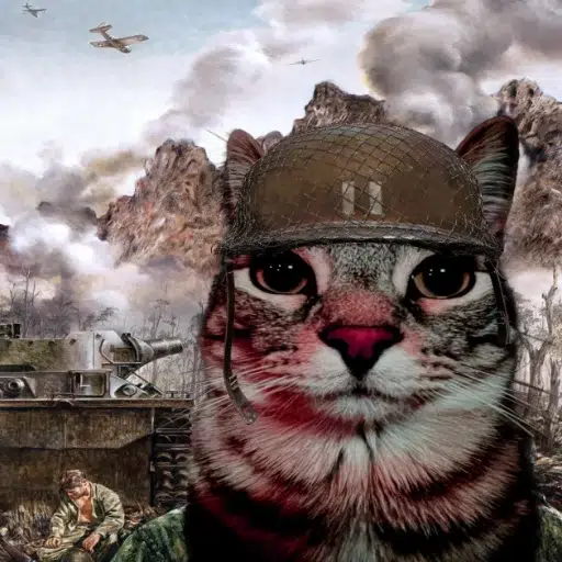 TrenchCat